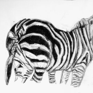 Original Zebra GG - 9" x 12" Black & White Colored Pencil