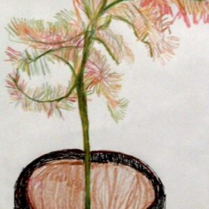 Original Autumn Japanese Maple GG - 8" x 11" Colored Pencil