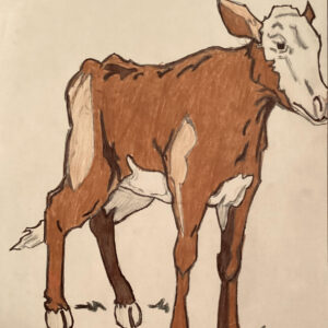 Original Cute Calf GG - 8" x 11" Colored Pencil
