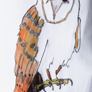 Original Autumn Owl On Limb Smiling GG - 8" x 11" Colored Pencil