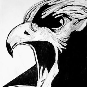 Original Cute Praising Eagle GG - 8" x 11" Black & White Charcoal