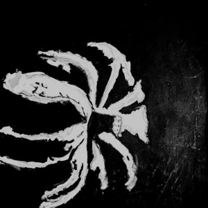 Original Black & White Gerber Daisy GG - 12" x 9" Black & White Painting
