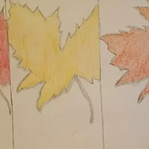 Original Cute Autumn Leaves In Different Color Special Vibe GG - 15" x 30" Canvas Colored Pencil