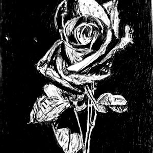 Original Winter Rose GG - 9" x 11" Black & White Colored Pencil