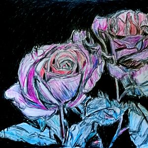 Original Winter Orchid Roses 2 GG - 9" x 11" Colored Pencil