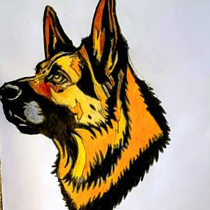Original Adorable Smiling Moonlight Colored German Shepherd GG - 9" x 11" Colored Pencil