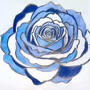 Original Winter Deep Dark & Light Blue Rose GG - 8.5" x 10" Colored Pencil