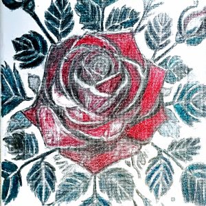 Original Winter Ruby Red Roses GG - 8" x 10" Colored Pencil